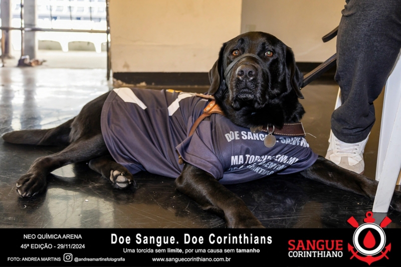 45º Edição - Campanha Sangue Corinthiano - Neo Quimíca Arena